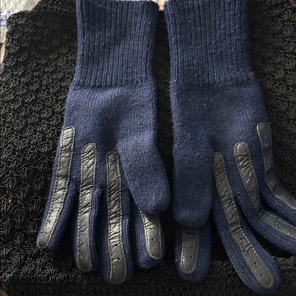 FINAL MARKDOWN Blue Chevron Knit Gloves